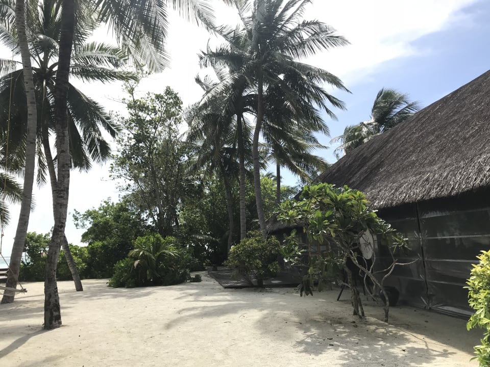 Gastro Summer Island Maldives