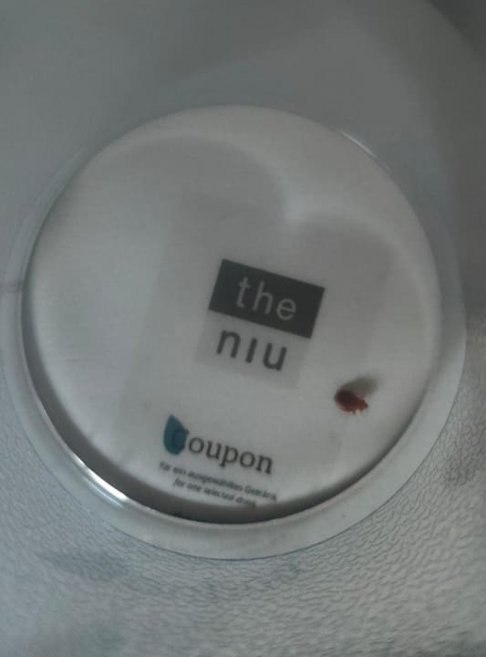 Zimmer Holiday Inn - the niu, Timber Esslingen