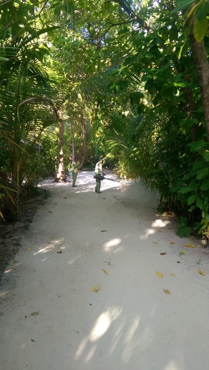 Gartenanlage Adaaran Select Meedhupparu Island Resort - Premium All Inclusive