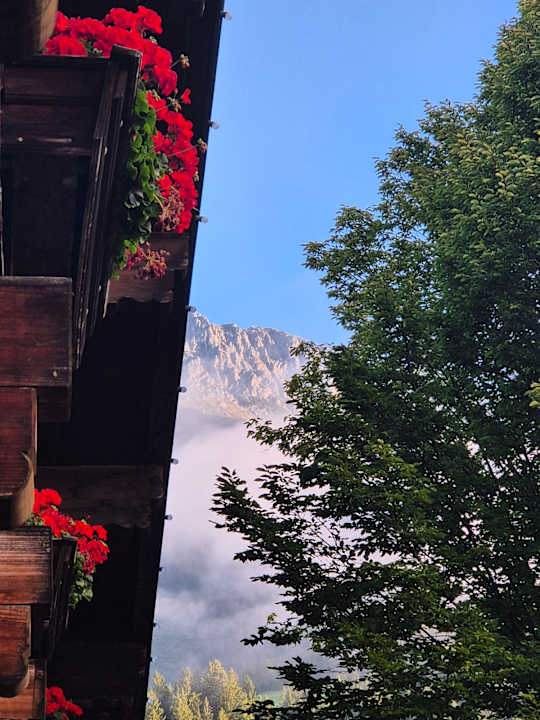 Ausblick Hotel Kaiser in Tirol