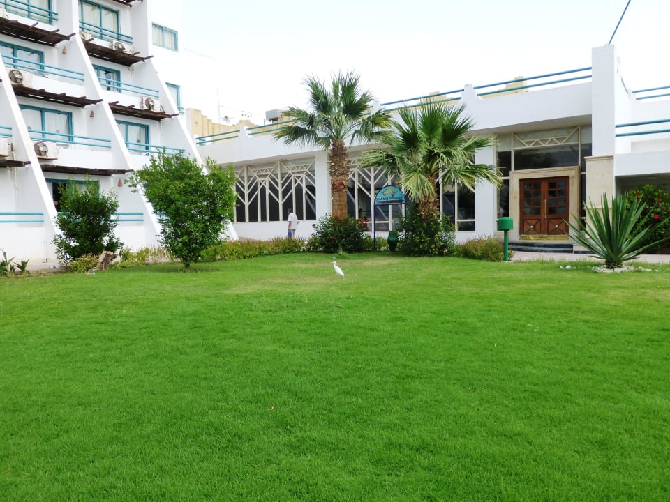 Restaurant Shams Safaga Resort