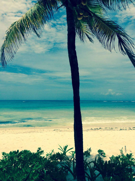 Ausblick Restaurant Akumal Bay Beach & Wellness Resort