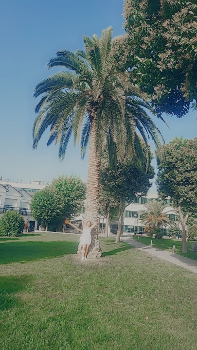 Gartenanlage Hotel Best Osuna Madrid Feria