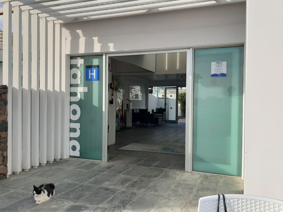 Lobby Smy Tahona Fuerteventura