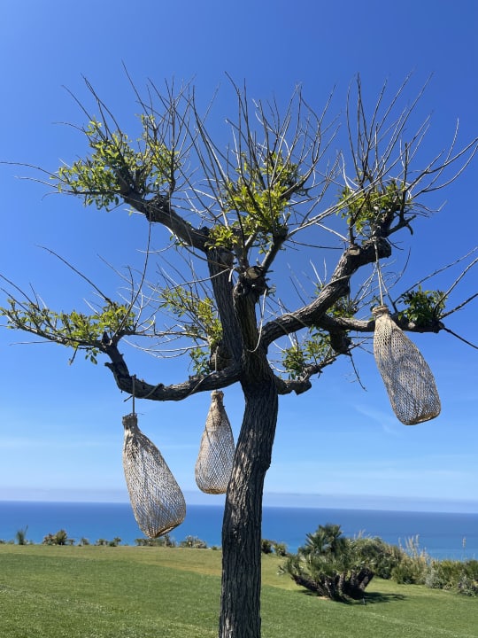Ausblick ADLER Spa Resort SICILIA