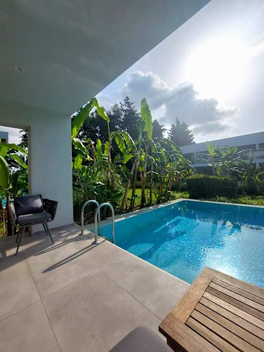 Zimmer Paloma Finesse