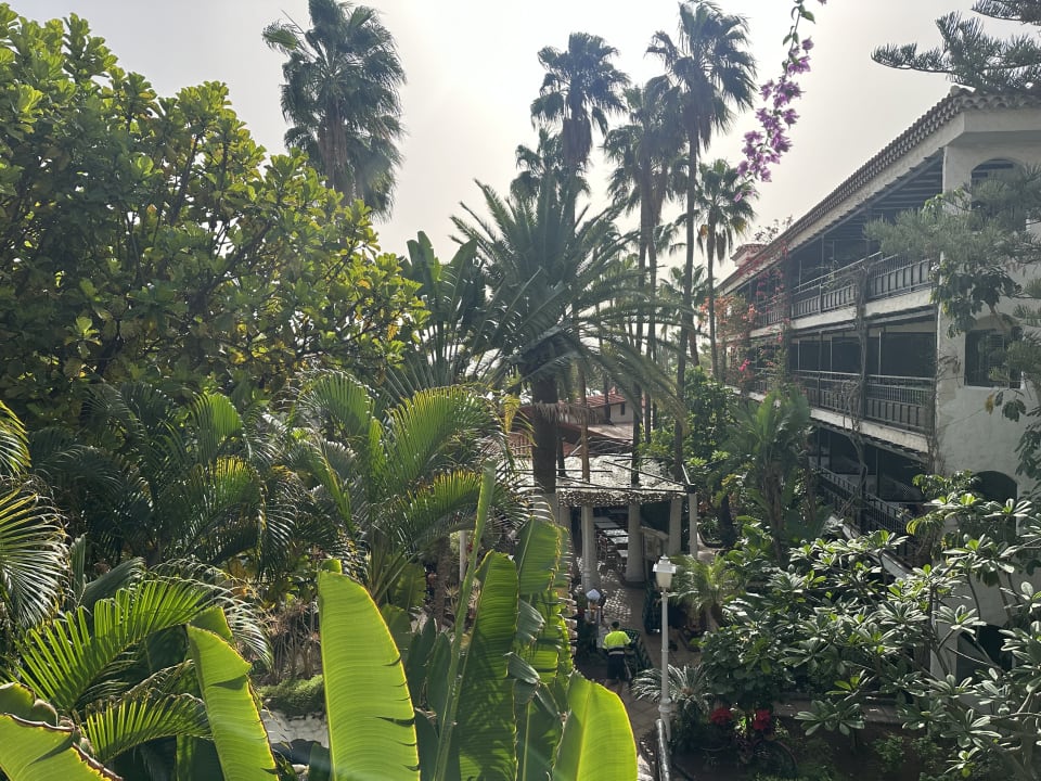 Gartenanlage Hotel Parque Tropical