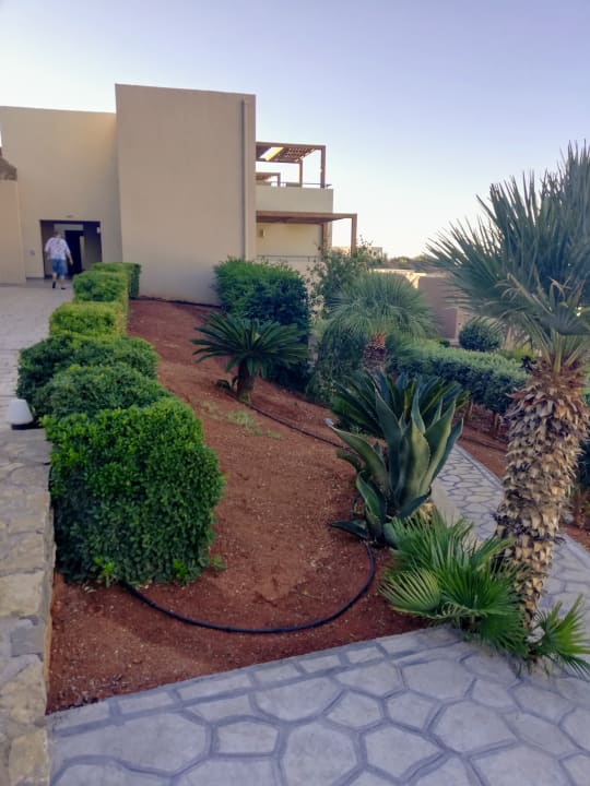 Gartenanlage Atlantica Mikri Poli Crete