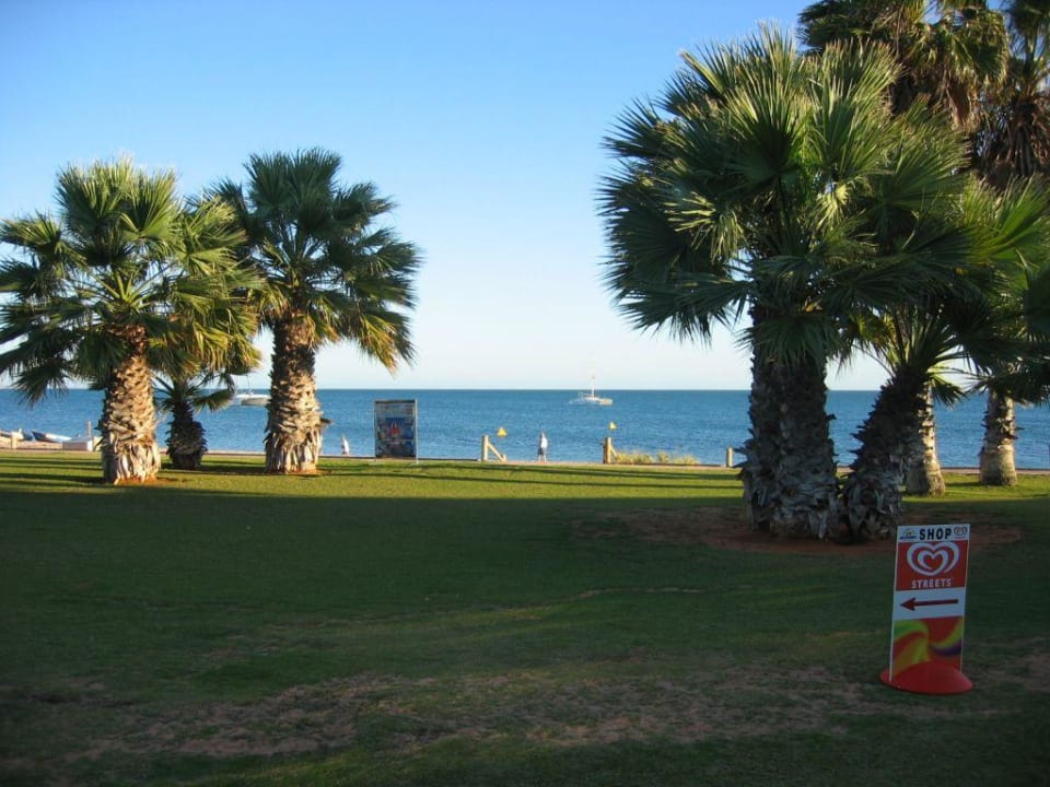 Palmen und blaues Wasser Monkey Mia Dolphin Resort