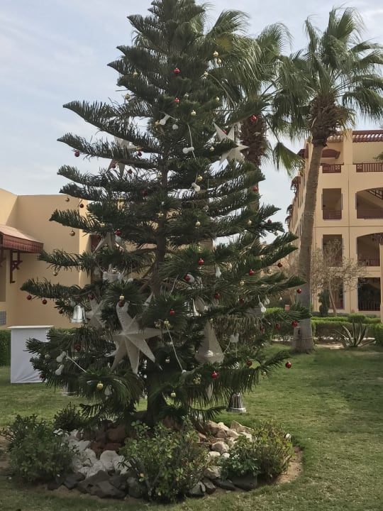 Sonstiges ROBINSON SOMA BAY