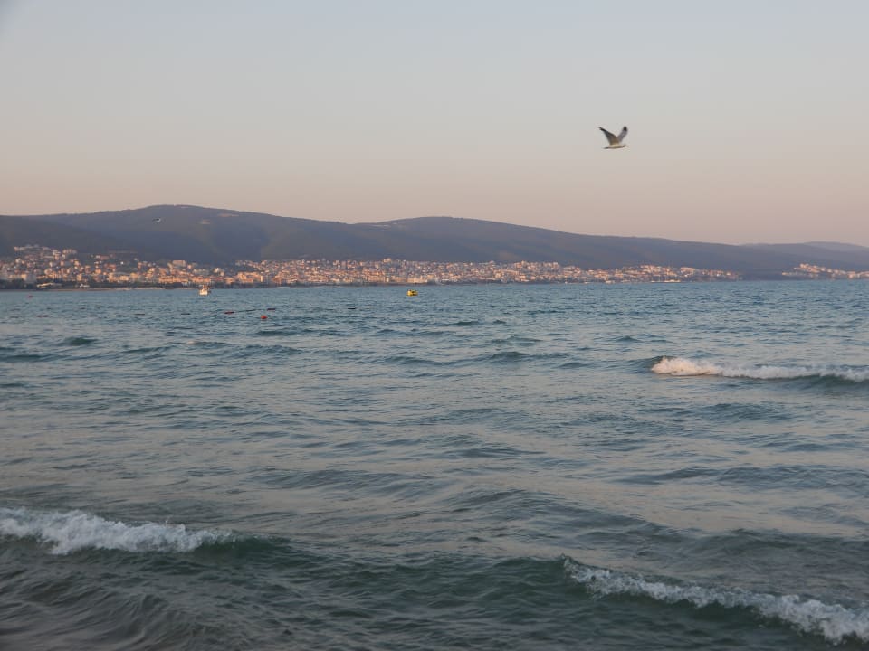 Strand Sentido Neptun Beach