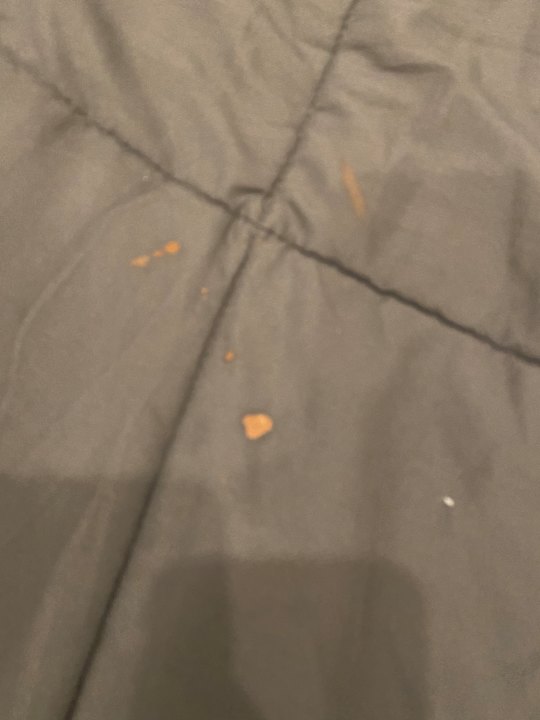 Zimmer Ripetta Palace