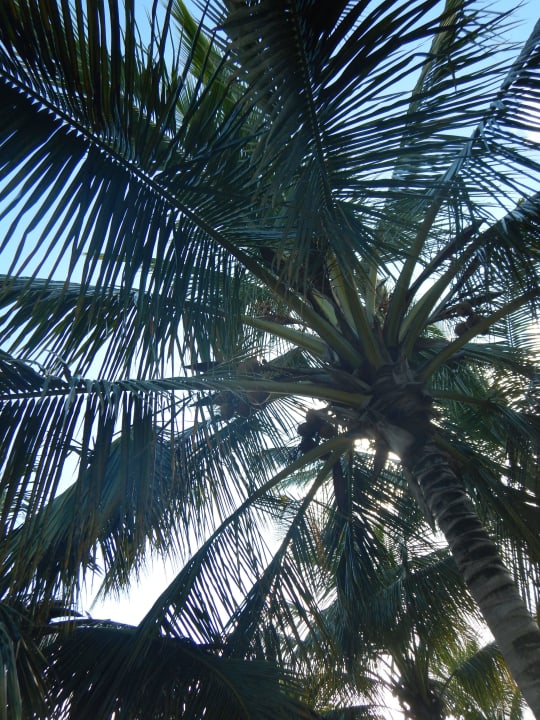 Schattenspender Victoria Beachcomber Resort & Spa