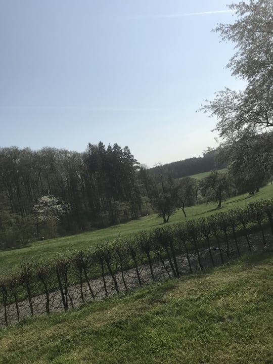 Ausblick Lindner Hotel Nurburgring Ferienpark, part of JdV by Hyatt