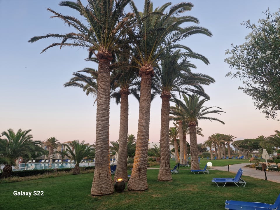 Gartenanlage Anissa Beach & Village
