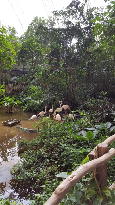 Gartenanlage Tropical Islands Resort