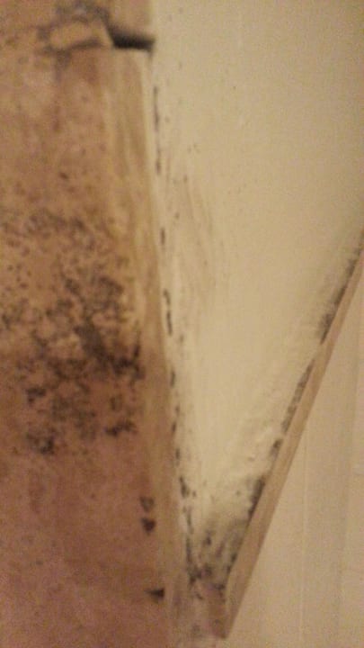 Zimmer Iberostar Waves Costa Dorada