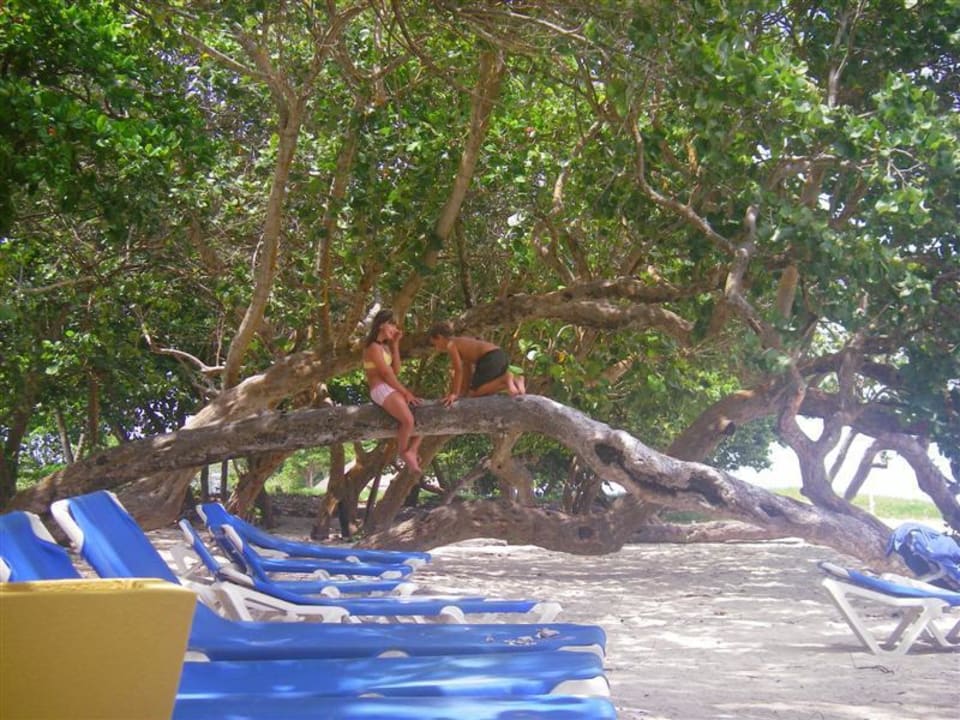 Strand Marien Puerto Plata