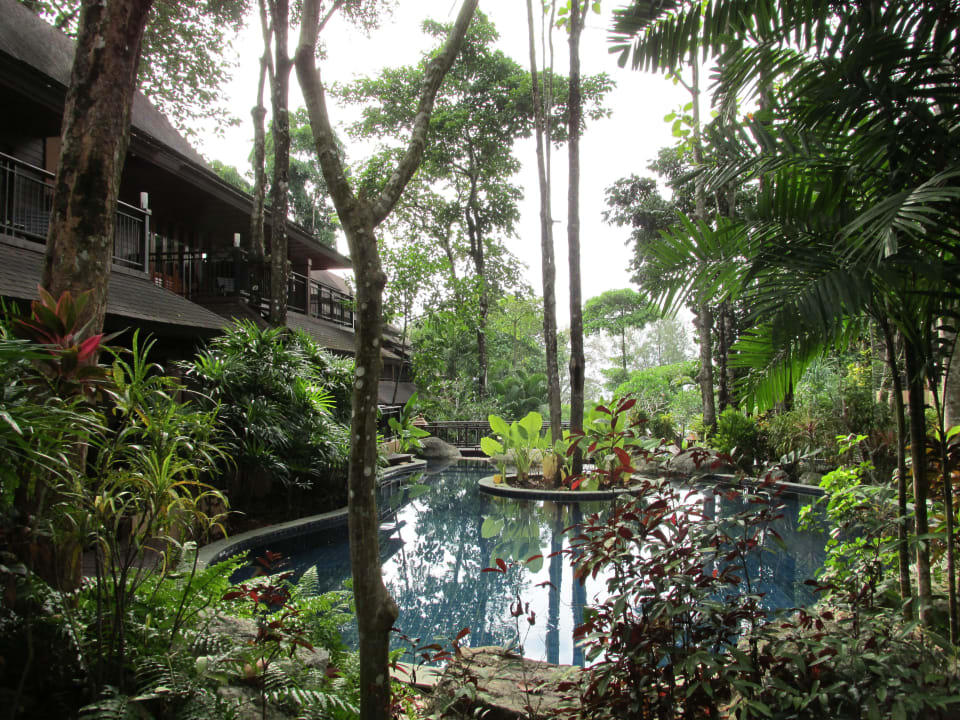 Poolzugang Zimmernr. 3135 Khao Lak Merlin Resort