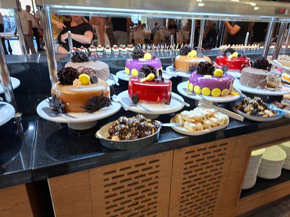 Gastro Seashell Vega