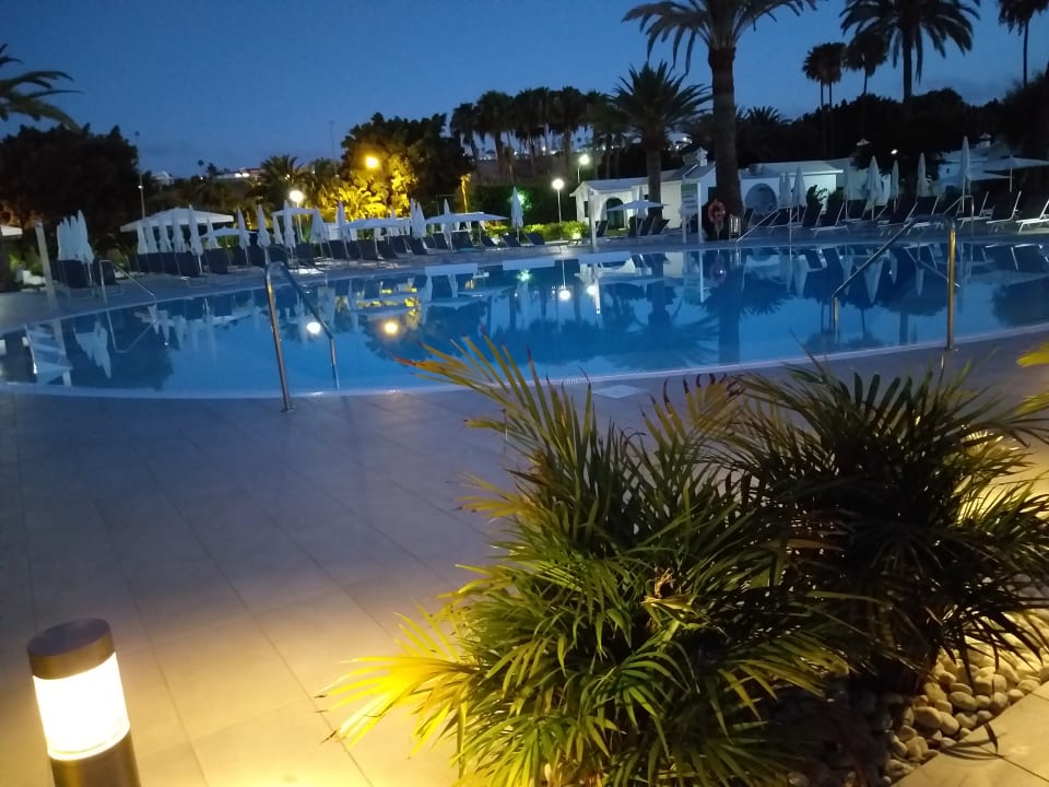 Pool Canary Garden Club