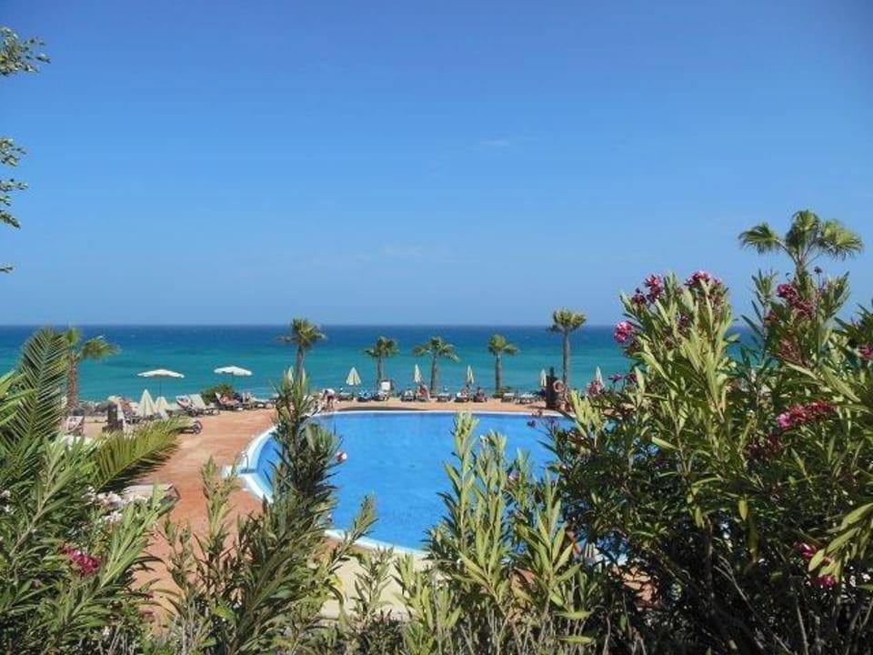 Unterer Pool H10 Tindaya