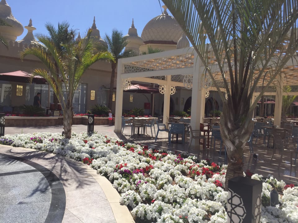 Gartenanlage Pickalbatros Aqua Park Resort - Sharm El Sheikh