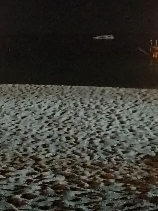 Strand Dizalya Palm Garden