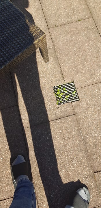 Außenansicht Hotel Engel - Familotel Hochschwarzwald