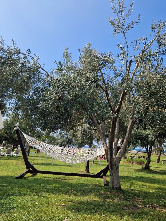 Gartenanlage TUI KIDS CLUB Felicia Village