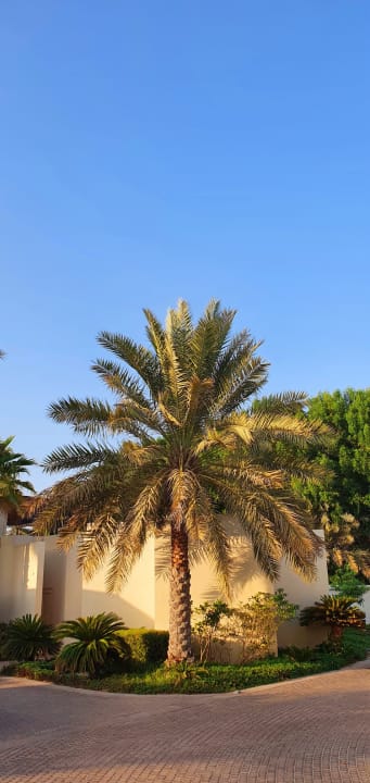 Außenansicht Park Hyatt Abu Dhabi Hotel and Villas