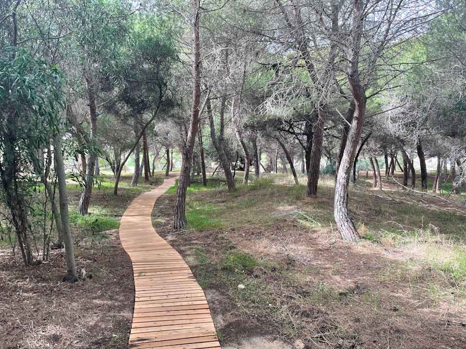 Strand Luna Minoica Suites and Apartments