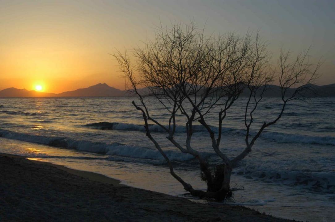 Sonnenuntergang am Strand Hotel Zorbas Beach