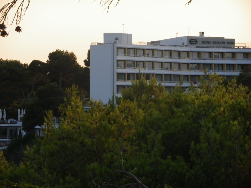 Blick auf dem Hotel vom Naturpark Hotel Exagon Park