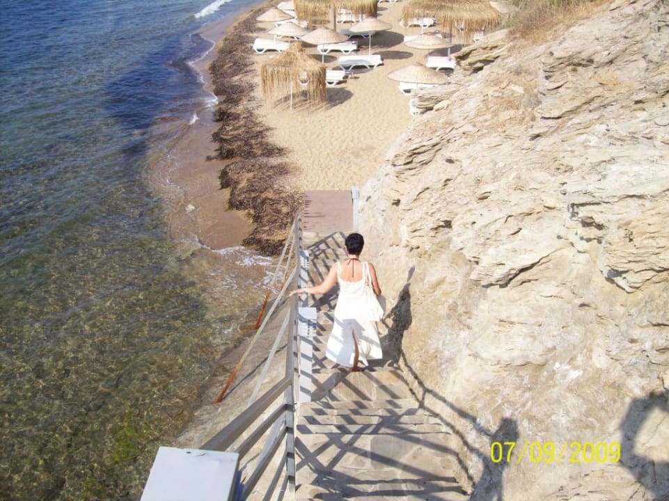 Adult beach - litus bar Aria Claros Beach & Spa Resort