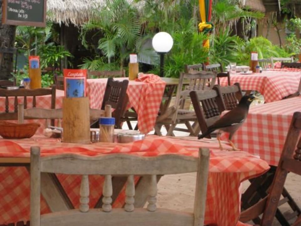Restaurant Hotel Beach Garden Resort
