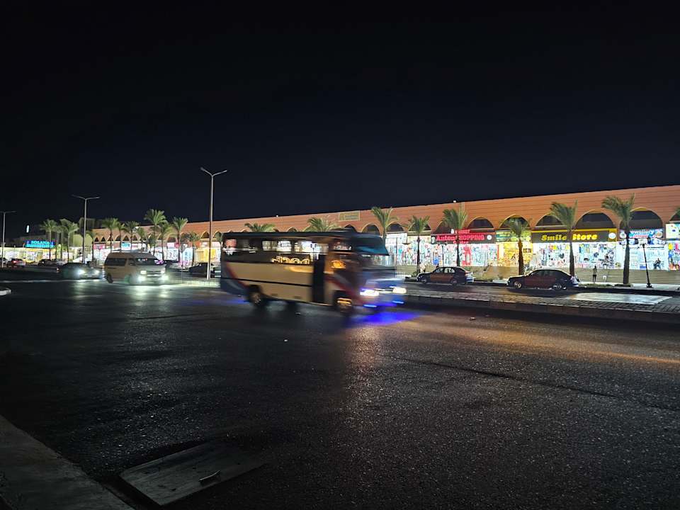 Sonstiges Desert Rose
