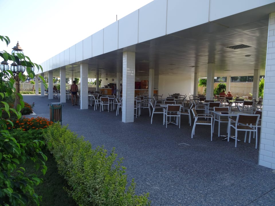 Bar de jour Eftalia Marin