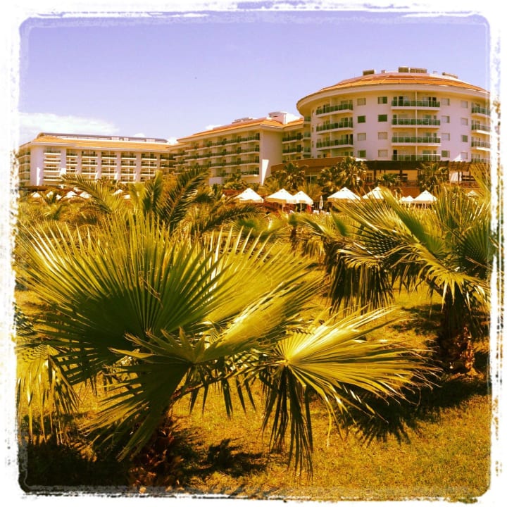 Blick aus dem grünen Bereich Seaden Sea World Resort & Spa