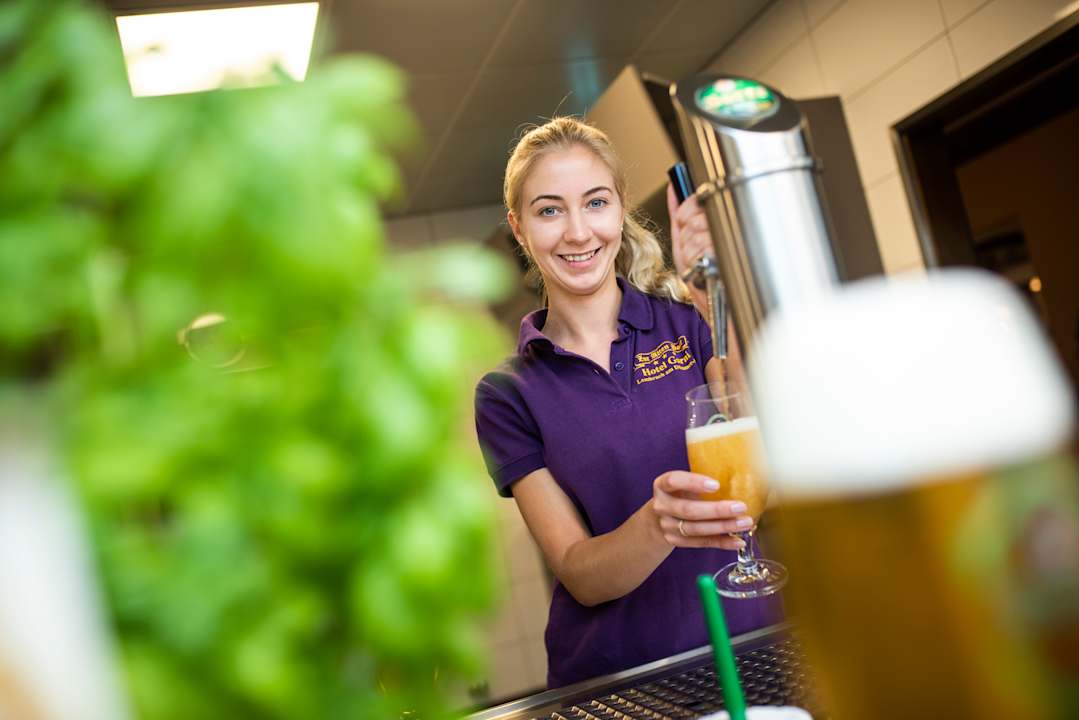 Gastro Hotel Garni Zur Alten Post