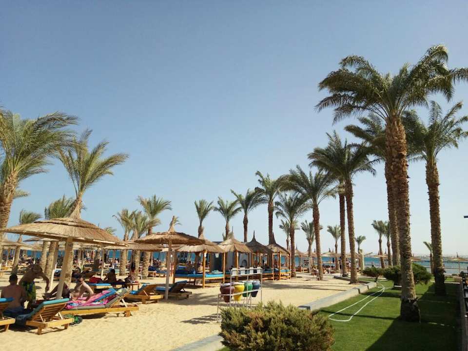 Strand Beach Albatros Resort