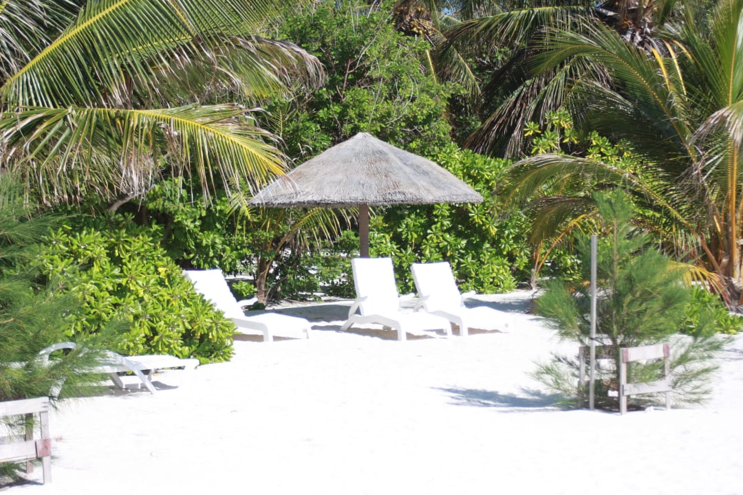 Wo bitte denn dann? Summer Island Maldives