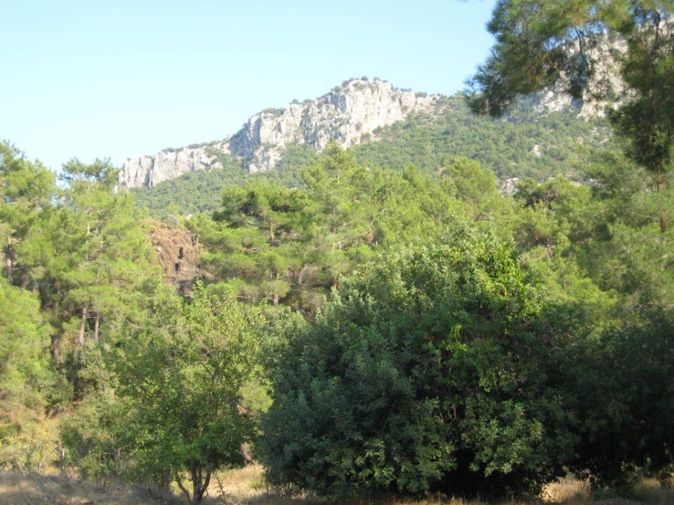 Blick von der Gartenbar Hotel Forest Park