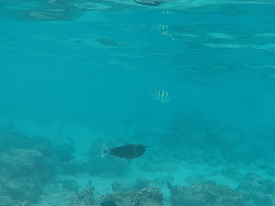 Strand You & Me Maldives - Adults Only - Premium All-Inclusive