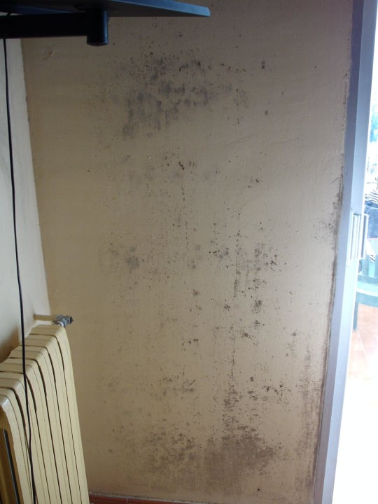 Schimmel Bei Juan Playa Blanca