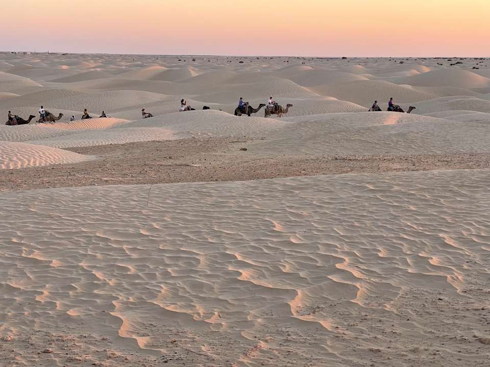 Sport & Freizeit Dunes Insolites Camp