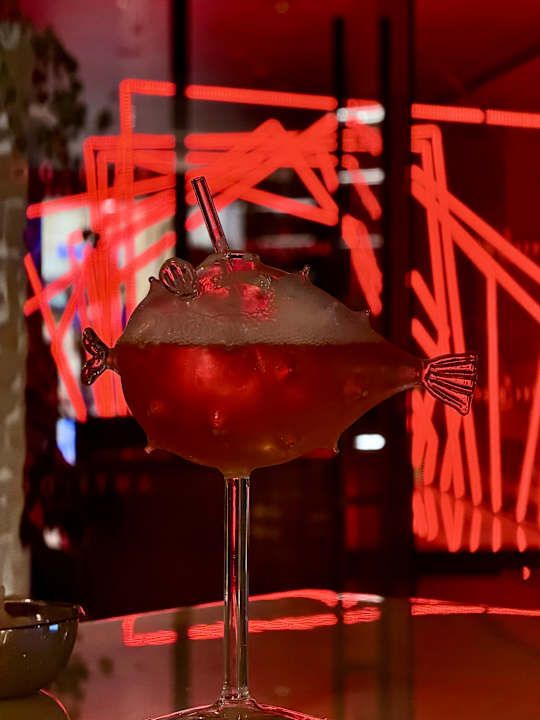 Gastro Rixos Marina Abu Dhabi