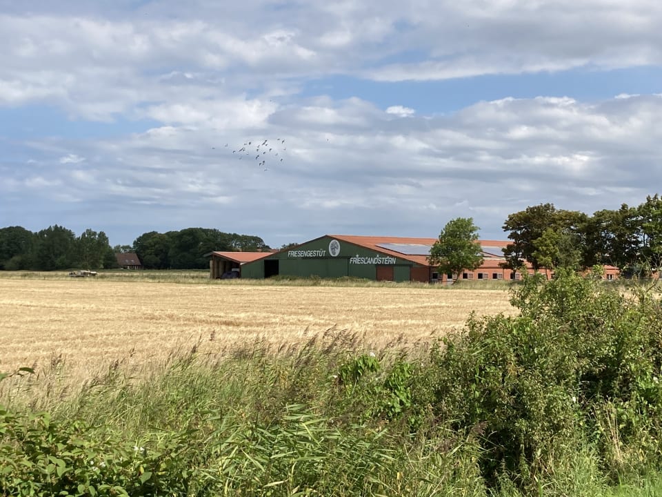 Außenansicht Ferienhof Frieslandstern