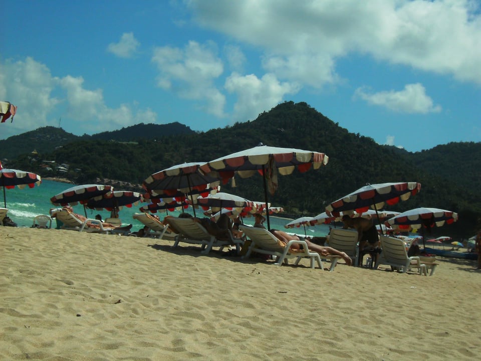 Februar 2016 The Fair House Beach Resort