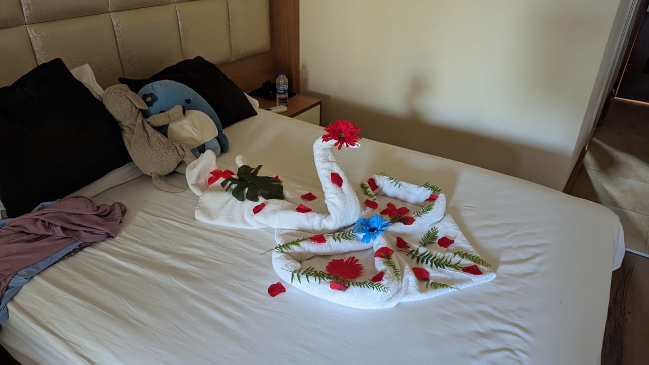 Zimmer Oz Hotels Incekum Beach